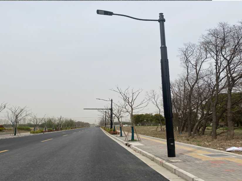 昭平县上海综合杆 太阳能路灯工程